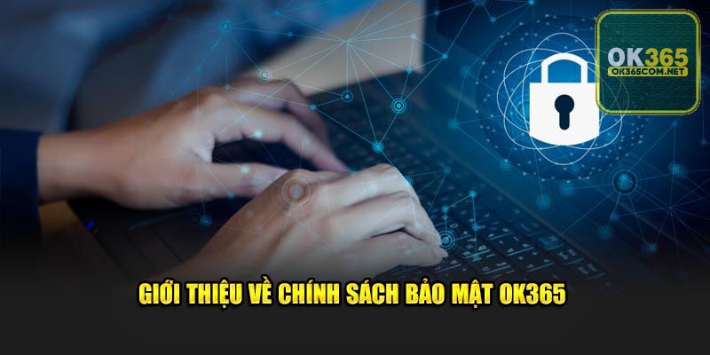 Chính sách bảo mật OK356 giữ gìn thông tin người dùng 