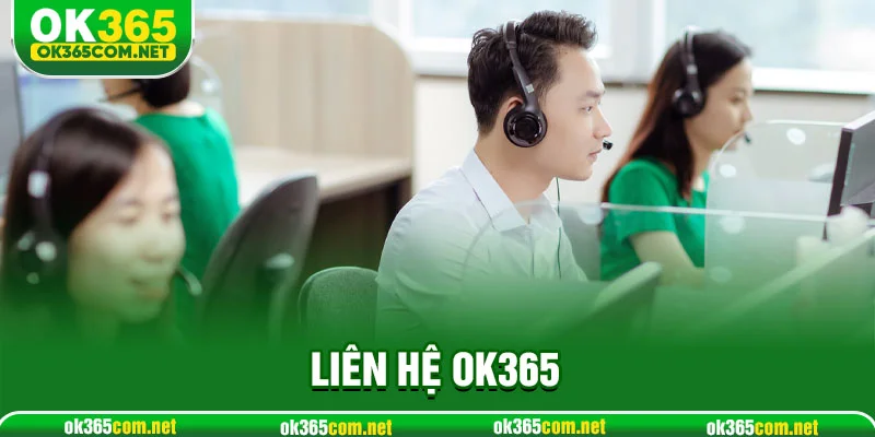 Liên hệ OK365