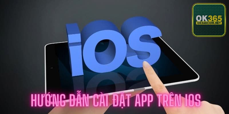 Hướng dẫn tải app OK365 trên điện thoại nhanh gọn nhất