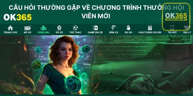 Câu hỏi thường gặp về chương trình thưởng hội viên mới của OK365